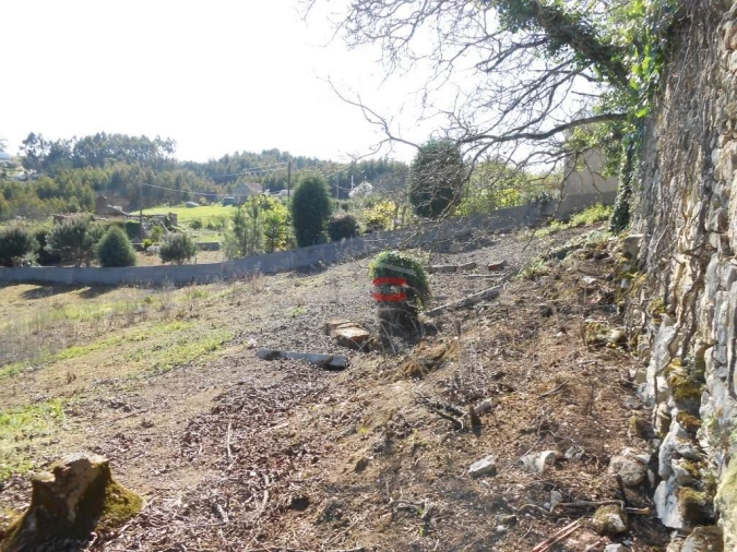 Moradia T3 para Venda em São Mamede Foto 6