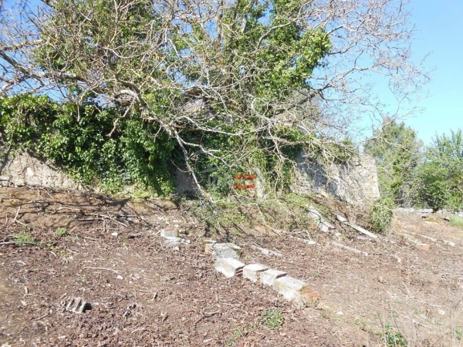 Moradia T3 para Venda em São Mamede Foto 10