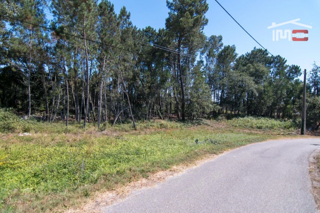 Terreno Agricola ou Rústico para Venda em Alqueidão da Serra Foto 4