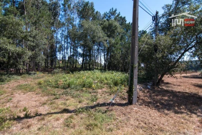 Terreno Agricola ou Rústico para Venda em Alqueidão da Serra