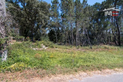 Terreno Agricola ou Rústico para Venda em Alqueidão da Serra