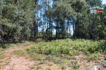 Terreno Agricola ou Rústico para Venda em Alqueidão da Serra