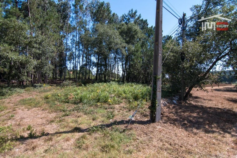 Terreno Agricola ou Rústico para Venda em Alqueidão da Serra Foto 2