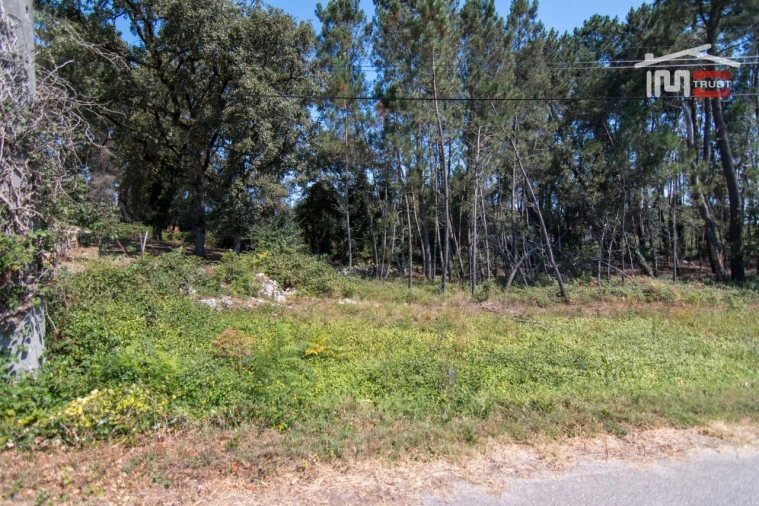 Terreno Agricola ou Rústico para Venda em Alqueidão da Serra Foto 3