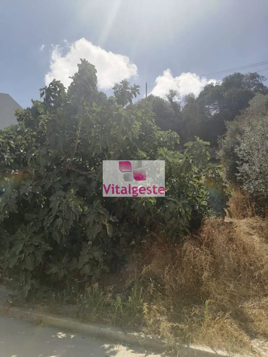 Terreno para Venda em Vialonga Foto 5