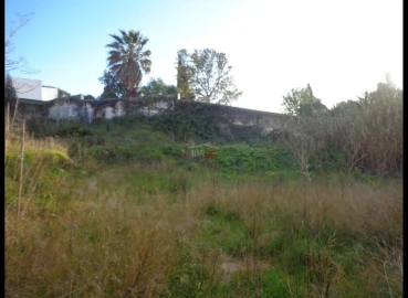 Terreno Misto para Venda em Alcanena e Vila Moreira