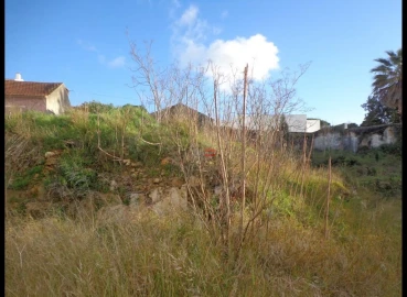Terreno Misto para Venda em Alcanena e Vila Moreira