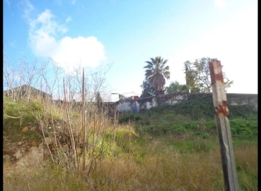 Terreno Misto para Venda em Alcanena e Vila Moreira