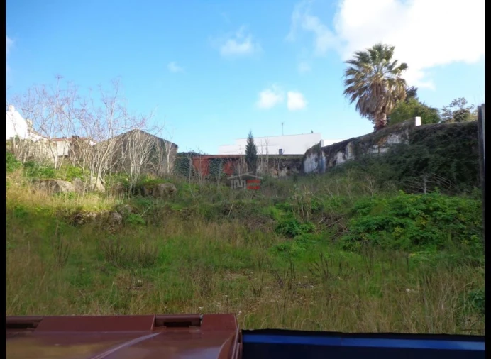 Terreno Misto para Venda em Alcanena e Vila Moreira Foto 3