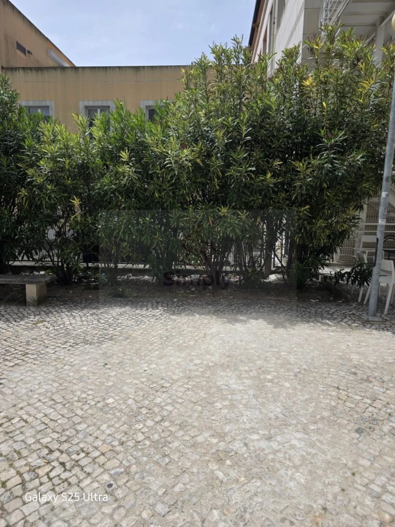 Loja para Arrendamento em Alvalade Foto 20