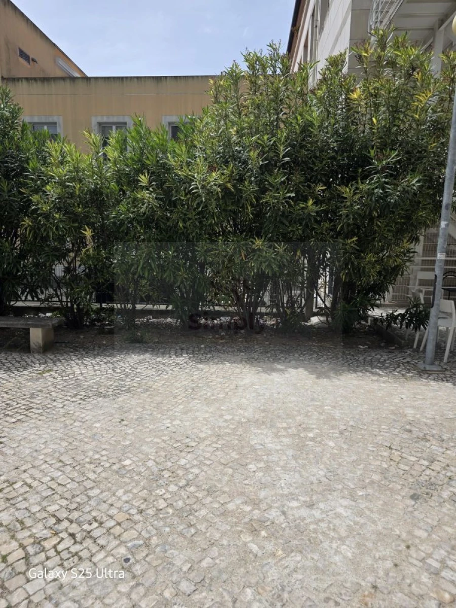 Loja para Arrendamento em Alvalade Foto 20