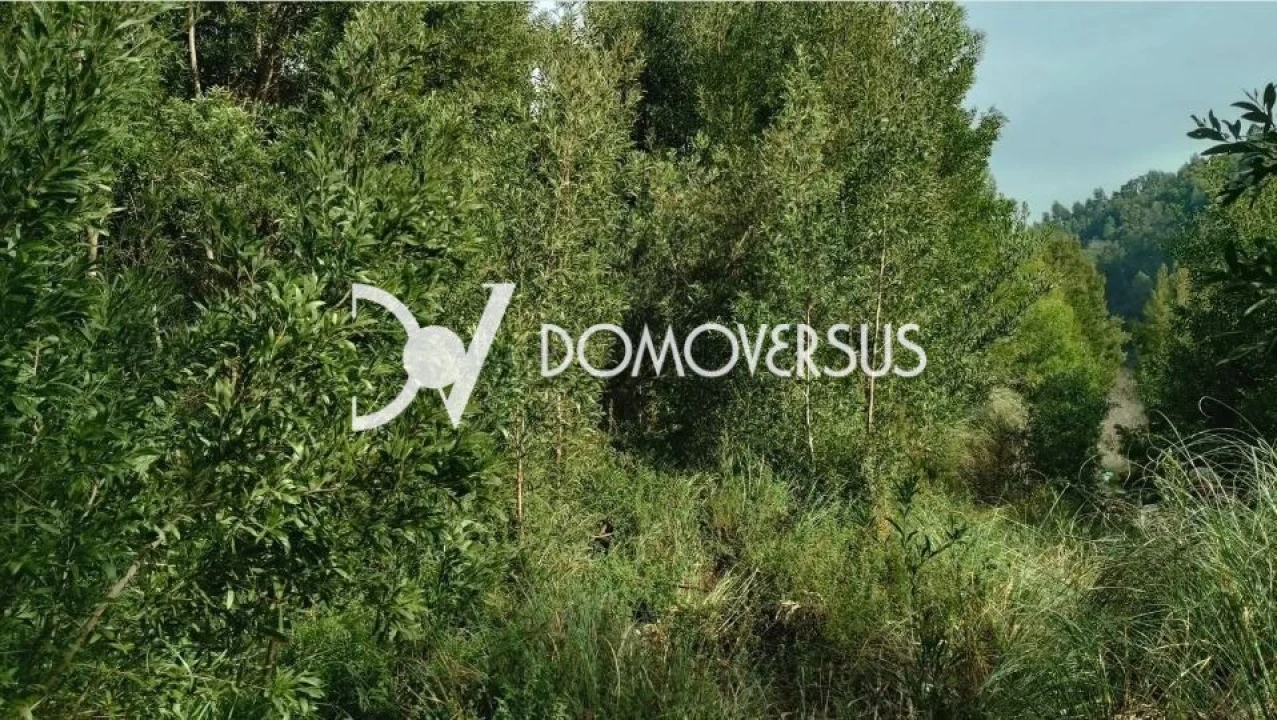 Terreno para Venda em Gondomar (São Cosme), Valbom e Jovim Foto 6