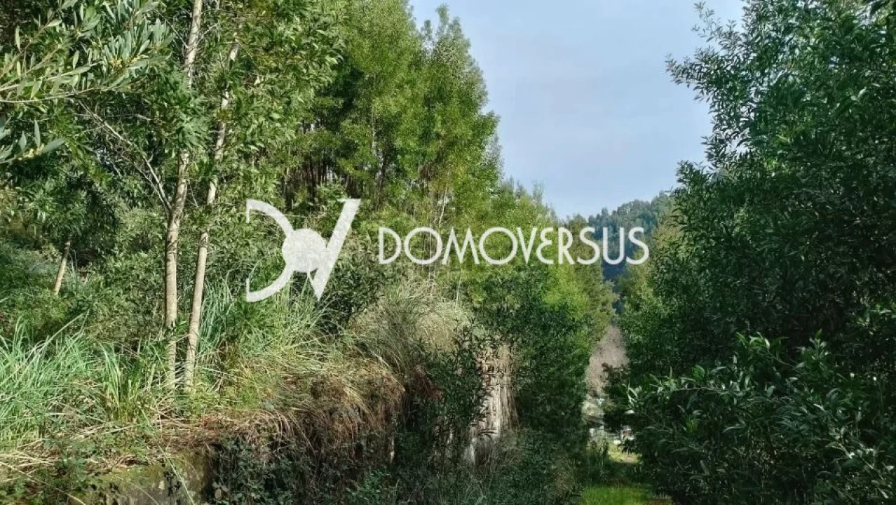 Terreno para Venda em Gondomar (São Cosme), Valbom e Jovim Foto 5