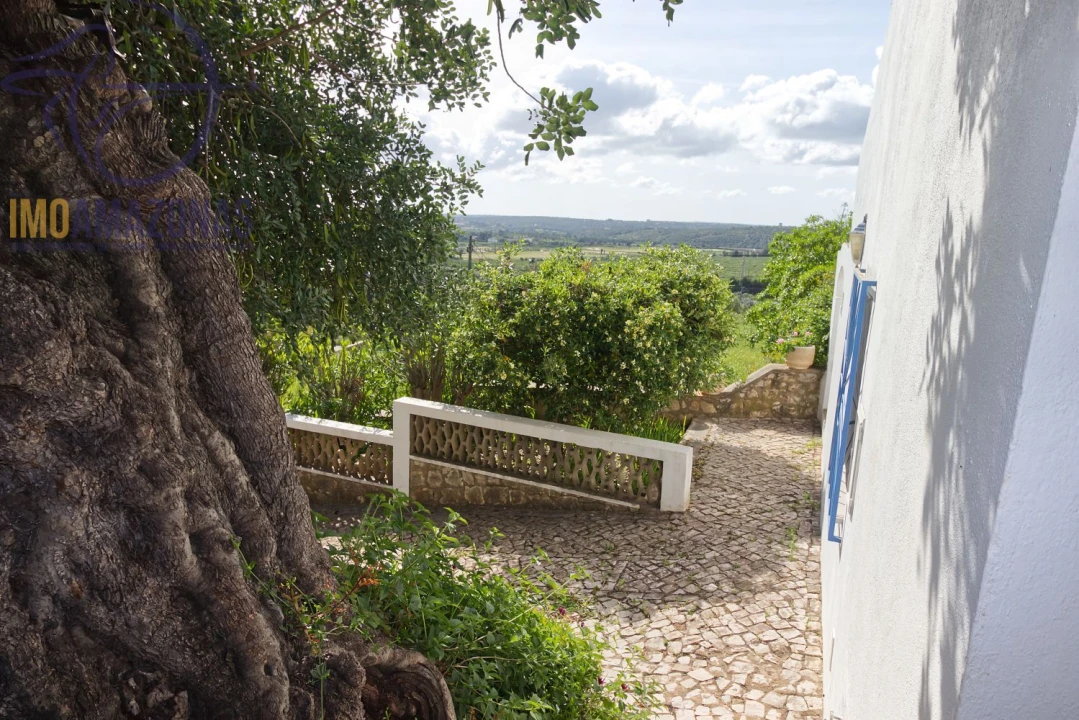 Moradia T2 para Venda em Alcantarilha e Pêra Foto 16