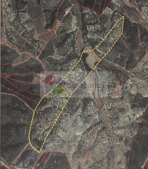 Terreno para Venda em Bemposta