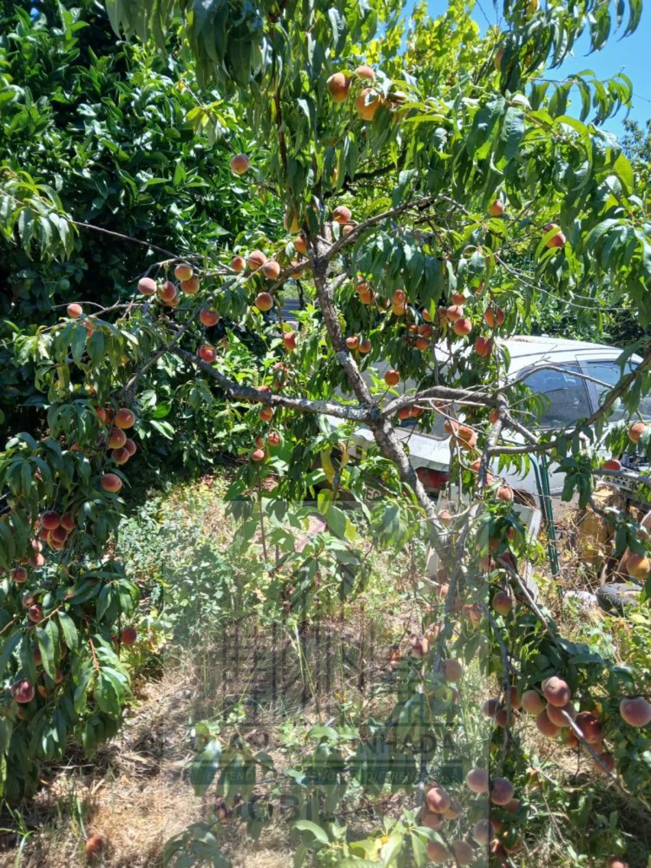 Moradia T3 para Venda em Baltar Foto 5