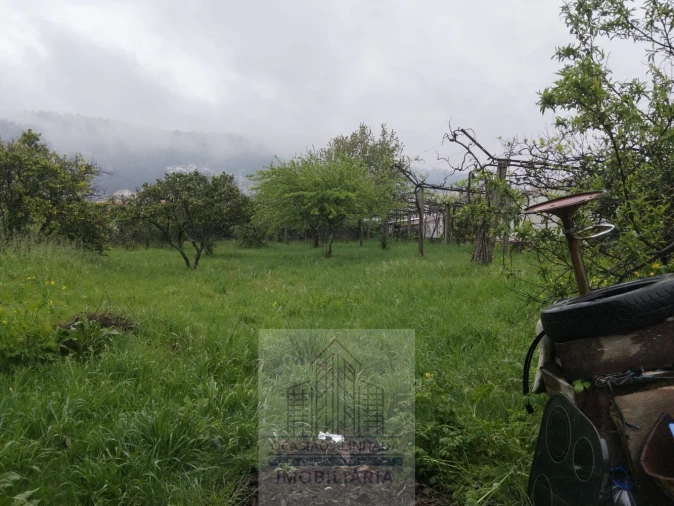 Moradia T3 para Venda em Baltar Foto 14