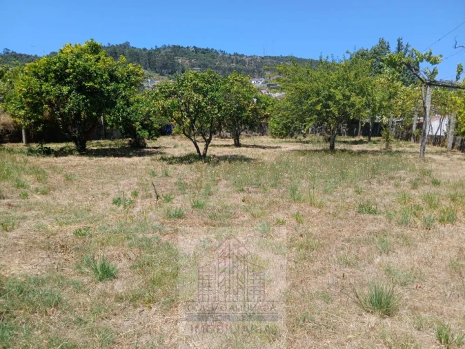 Moradia T3 para Venda em Baltar Foto 6