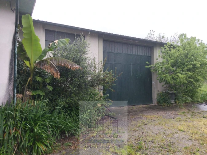 Moradia T3 para Venda em Baltar Foto 7