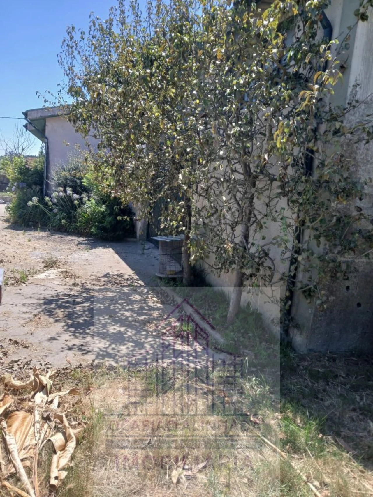 Moradia T3 para Venda em Baltar Foto 4