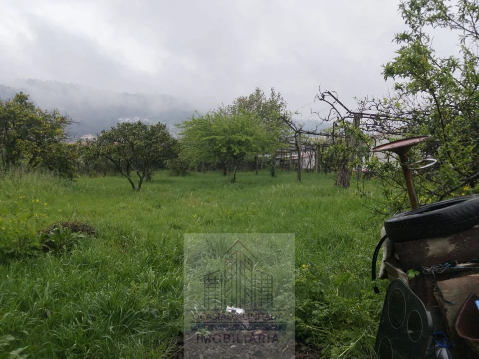 Moradia T3 para Venda em Baltar Foto 14