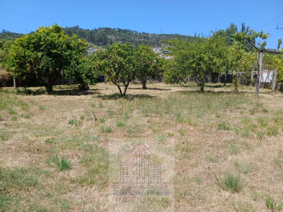 Moradia T3 para Venda em Baltar Foto 6