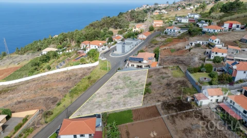 Terreno para Venda em Prazeres