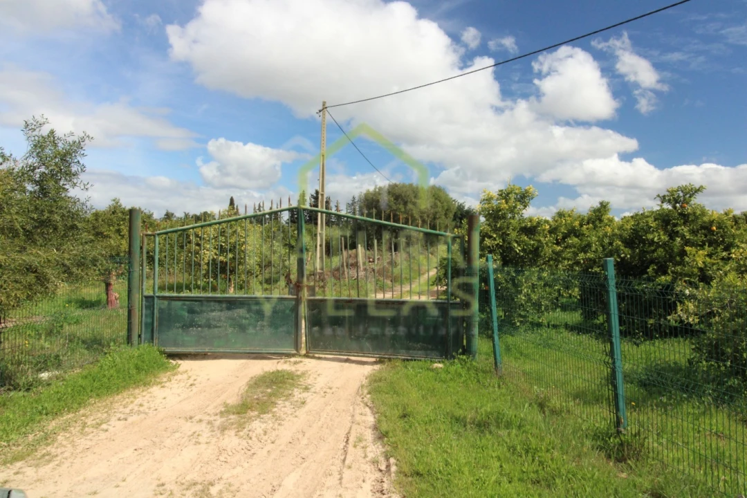 Quinta T2 para Venda em Faro (Sé e São Pedro) Foto 8