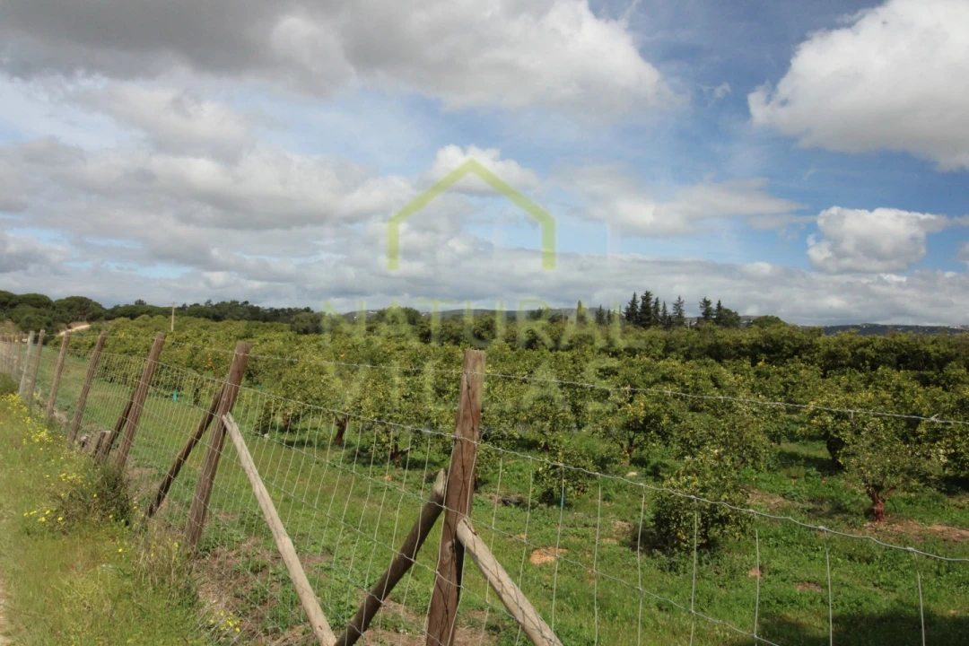 Quinta T2 para Venda em Faro (Sé e São Pedro) Foto 9