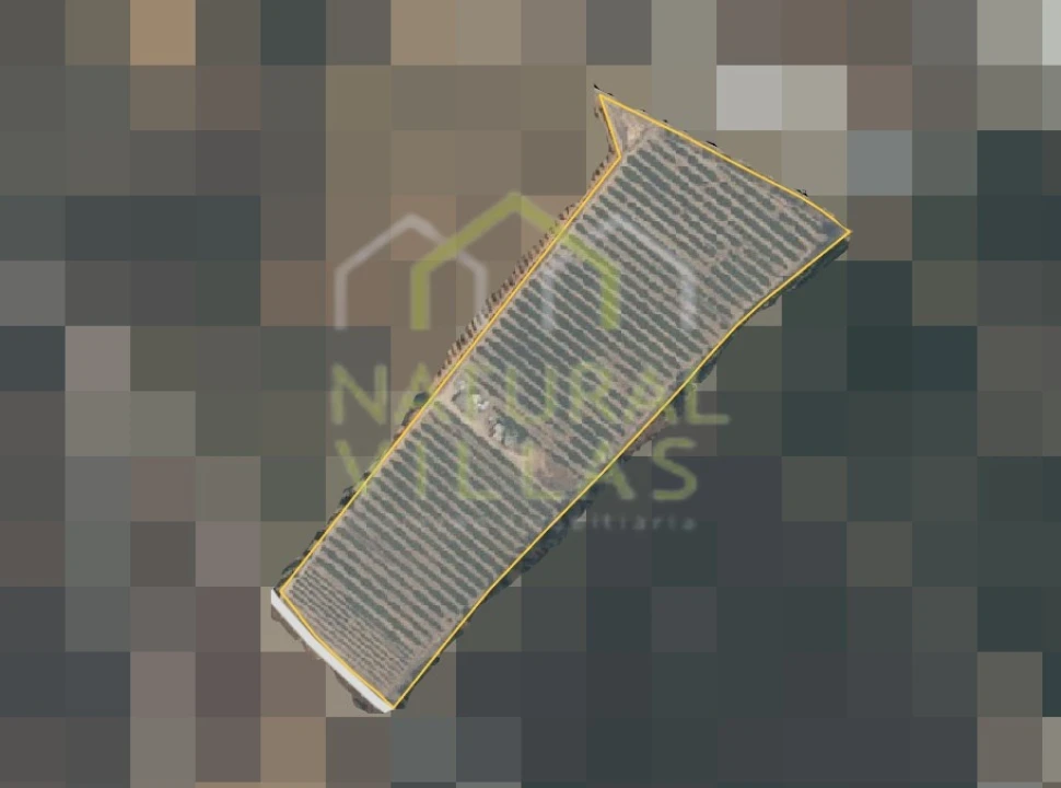 Quinta T2 para Venda em Faro (Sé e São Pedro) Foto 10