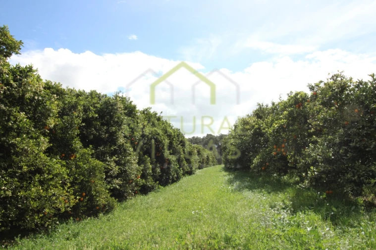 Quinta T2 para Venda em Faro (Sé e São Pedro) Foto 2