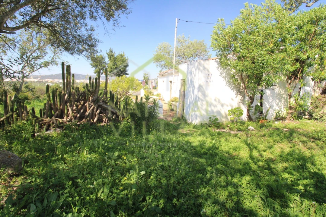 Moradia T2 para Venda em São Brás de Alportel Foto 4