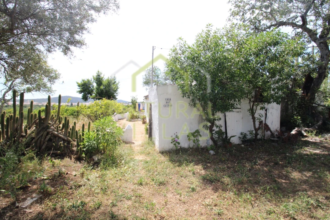 Moradia T2 para Venda em São Brás de Alportel Foto 2