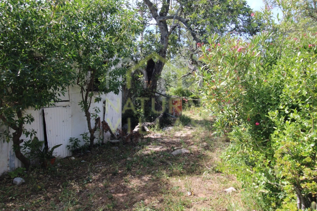 Moradia T2 para Venda em São Brás de Alportel Foto 14