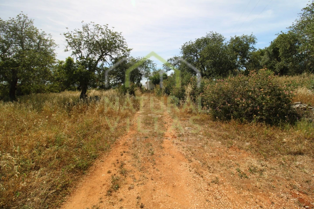 Moradia T2 para Venda em São Brás de Alportel Foto 15