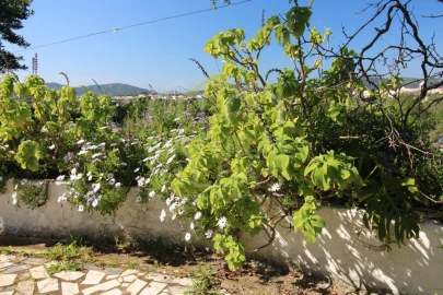 Moradia T2 para Venda em São Brás de Alportel