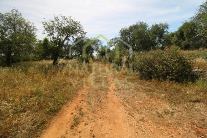 Moradia T2 para Venda em São Brás de Alportel