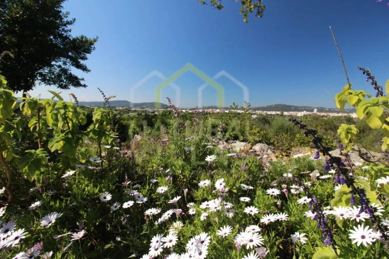 Moradia T2 para Venda em São Brás de Alportel Foto 6