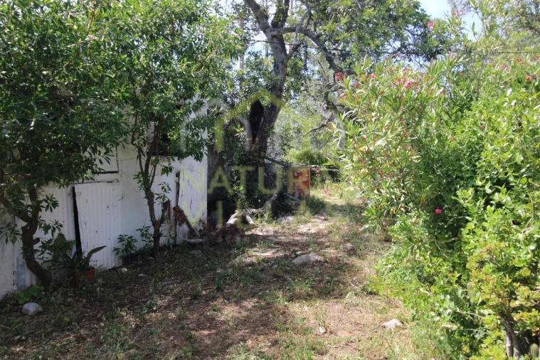 Moradia T2 para Venda em São Brás de Alportel Foto 14