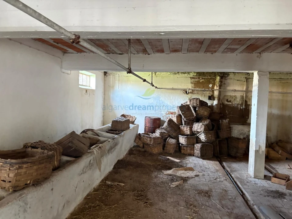 Quinta T5 para Venda em São Bartolomeu de Messines Foto 4