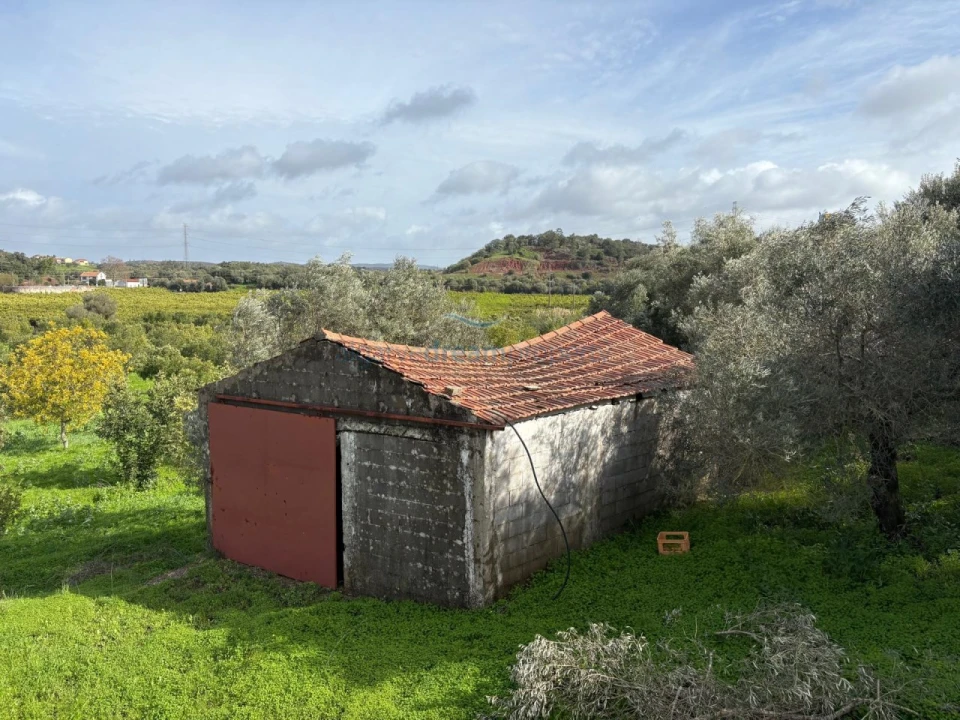 Quinta T5 para Venda em São Bartolomeu de Messines Foto 14