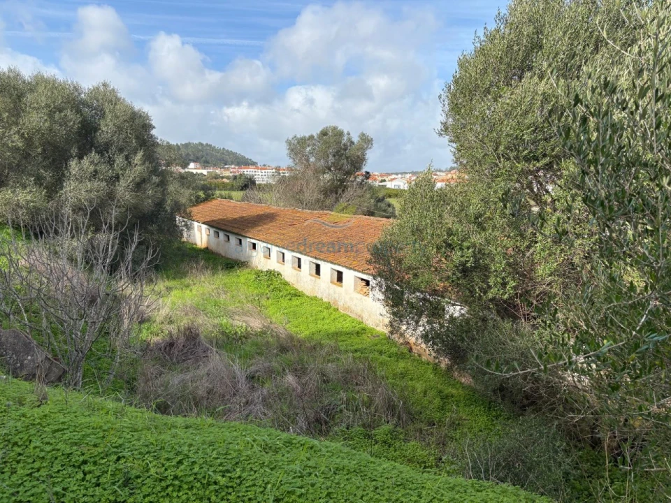 Quinta T5 para Venda em São Bartolomeu de Messines Foto 16