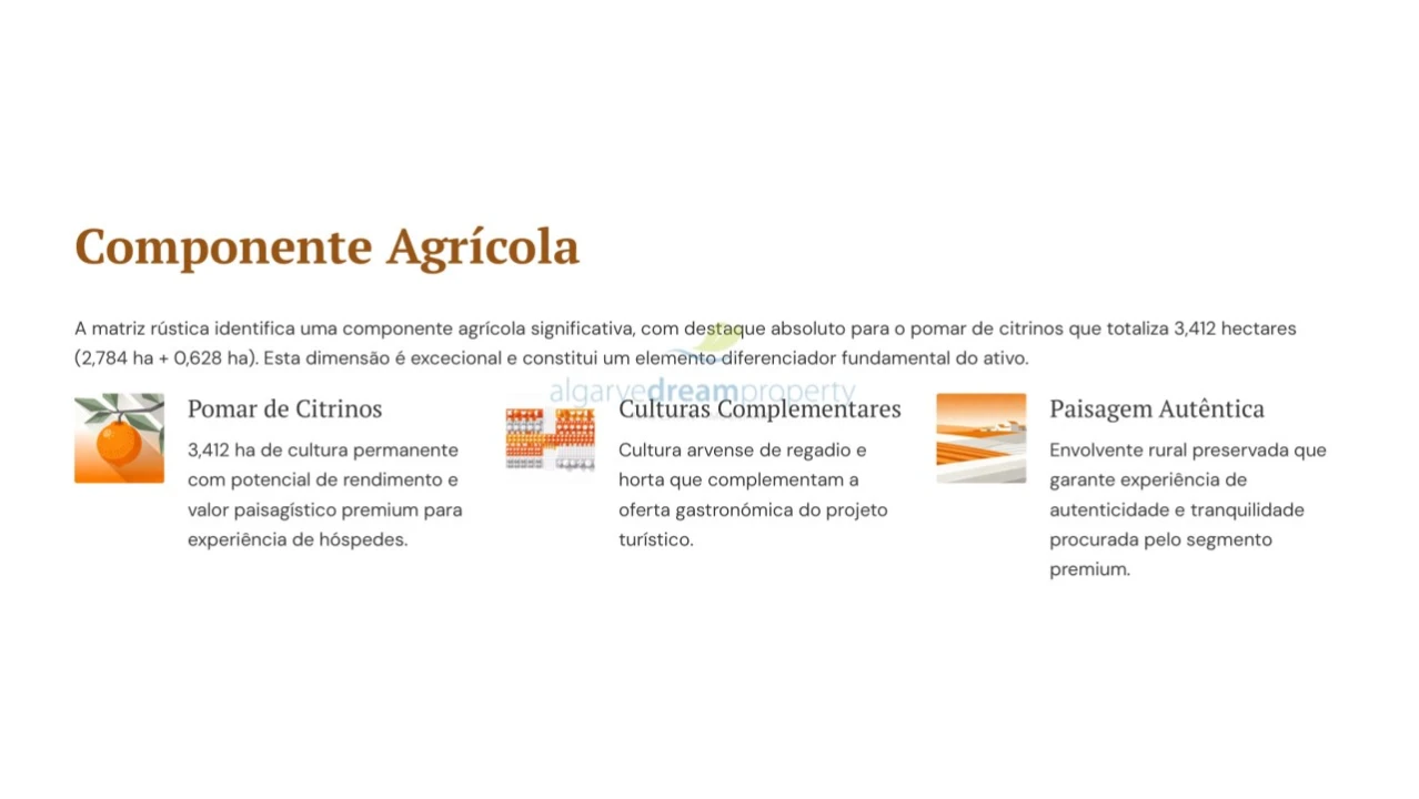 Quinta T5 para Venda em São Bartolomeu de Messines Foto 28