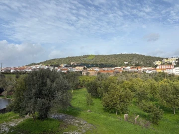 Quinta T5 para Venda em São Bartolomeu de Messines