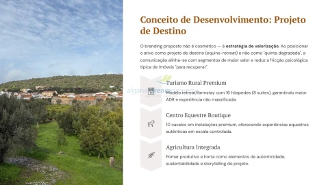 Quinta T5 para Venda em São Bartolomeu de Messines