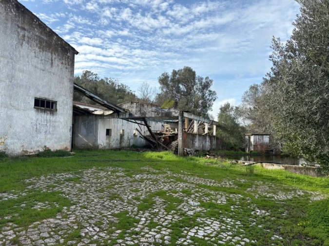 Quinta T5 para Venda em São Bartolomeu de Messines Foto 6