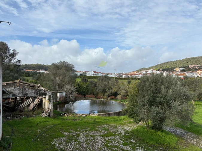 Quinta T5 para Venda em São Bartolomeu de Messines Foto 10