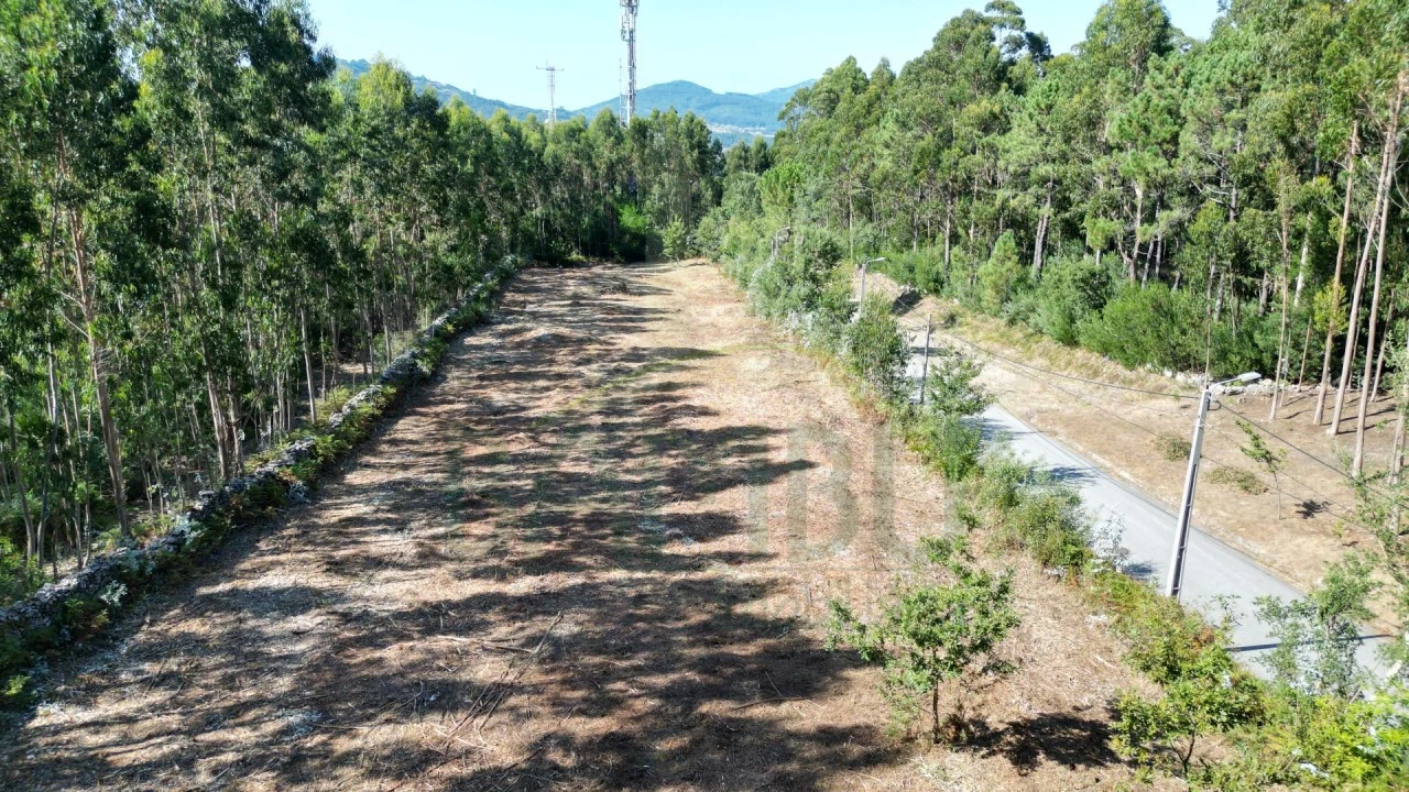 Terreno para Venda em Caminha (Matriz) e Vilarelho Foto 4