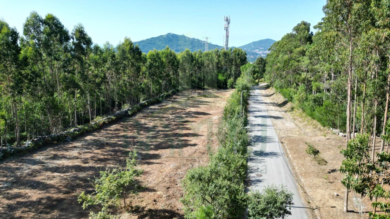 Terreno para Venda em Caminha (Matriz) e Vilarelho Foto 3