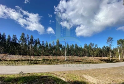 Terreno para Venda em Caminha (Matriz) e Vilarelho